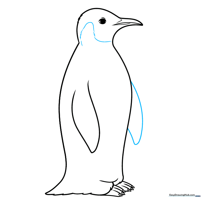 Adding the second wing and starting the feather pattern details on the penguin's chest.