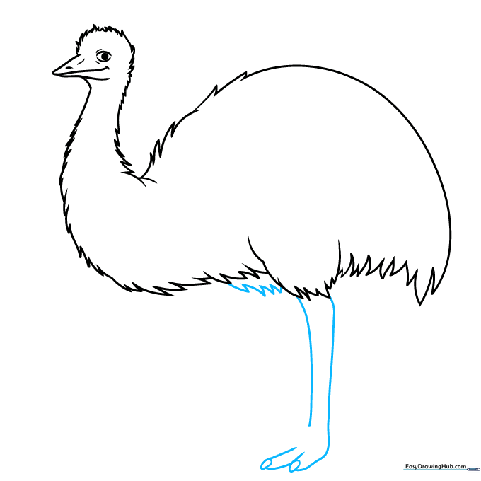 Sketching the first strong, thick leg and clawed foot of the emu.