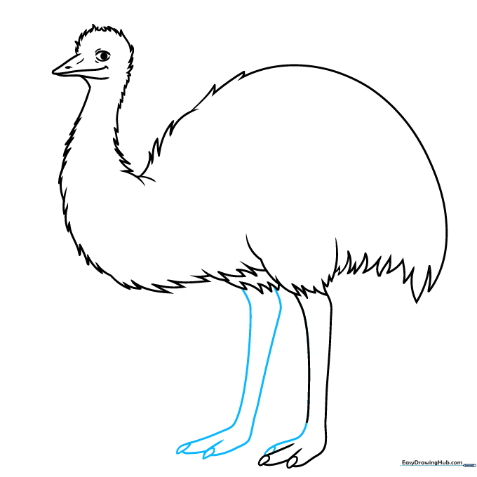 Adding a second leg behind the first to show the emu walking.