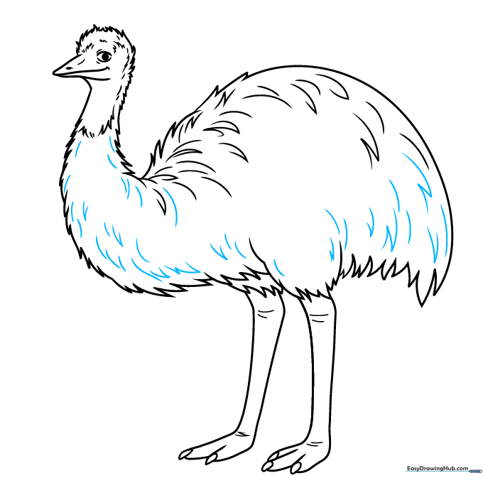 Completing the body outline with soft, fluffy feather textures.
