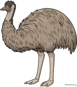 A vibrant, finished cartoon emu illustration, perfect for kids to use as a reference.