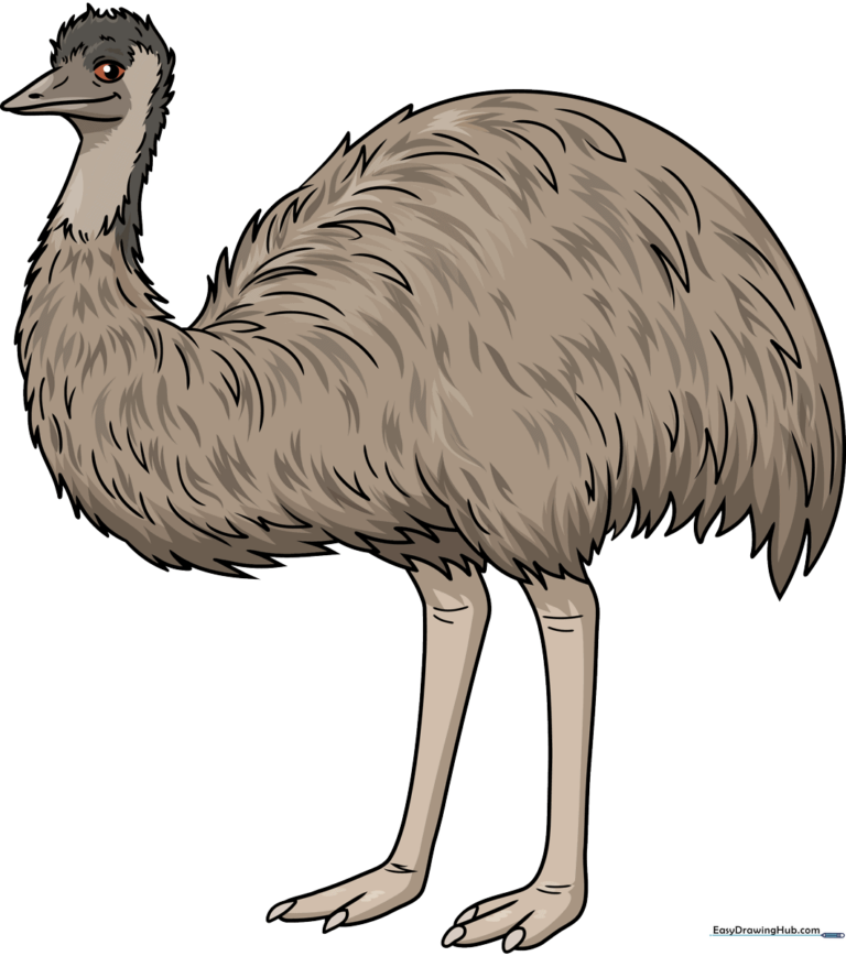 A vibrant, finished cartoon emu illustration, perfect for kids to use as a reference.