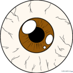 A high-quality, realistic eyeball drawing featured as the main tutorial image.
