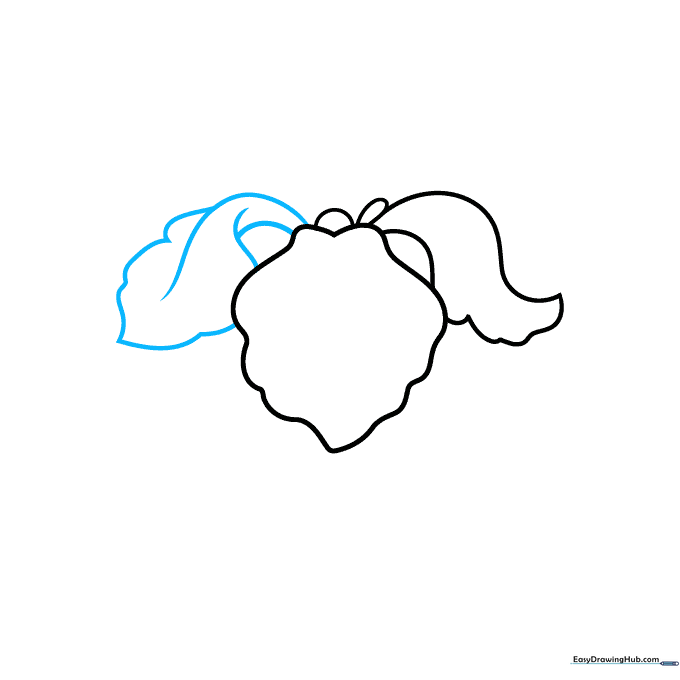 Adding the third petal on the opposite side of the iris flower sketch.