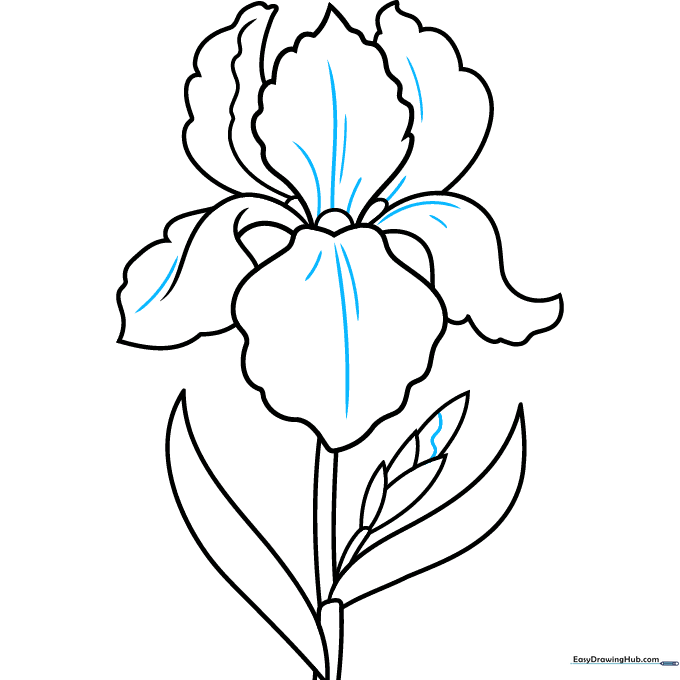Adding fine line texture to the petals for a realistic look.