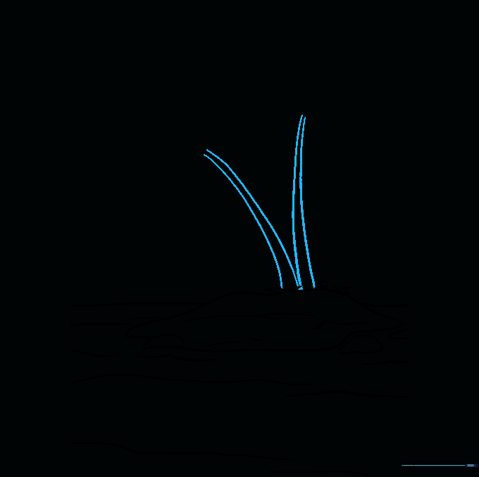 Drawing two curved palm tree trunks on the island.