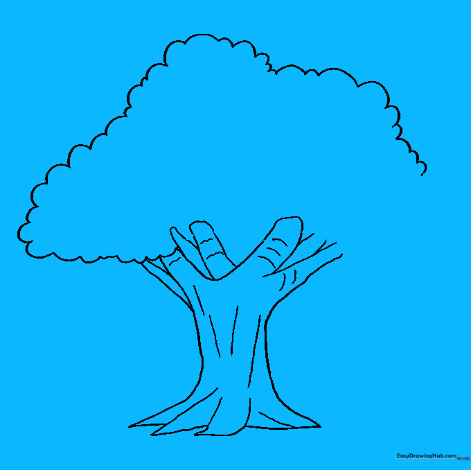 Completing the full outline of the tree canopy.