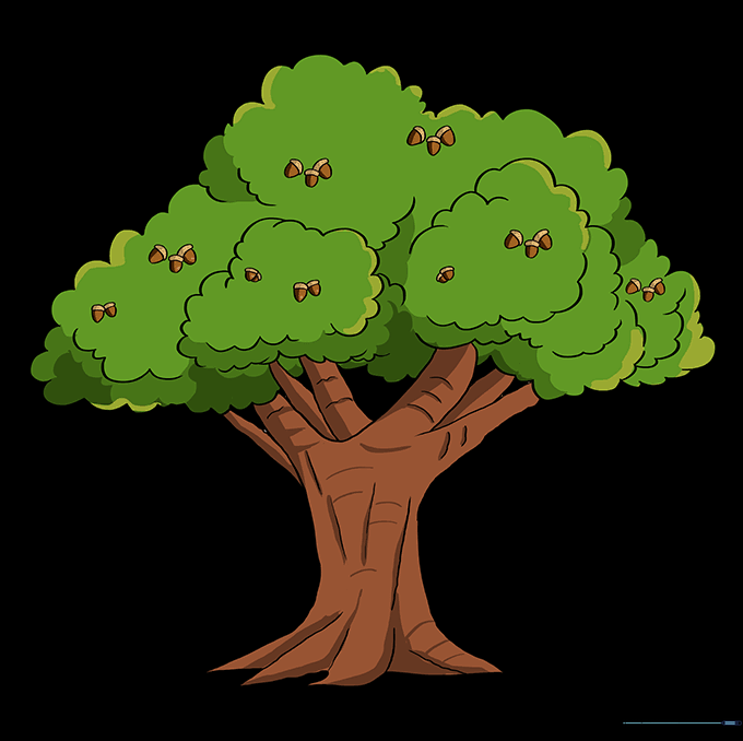 The finished, colored oak tree drawing.