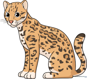 A vibrant, finished drawing of a cute ocelot, showcasing the final result of the tutorial.