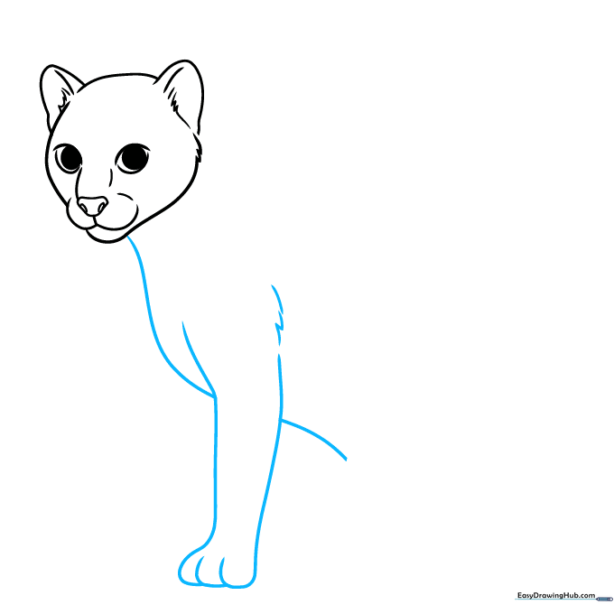 Drawing the ocelot chest, front leg, and paw with overlapping toe lines.