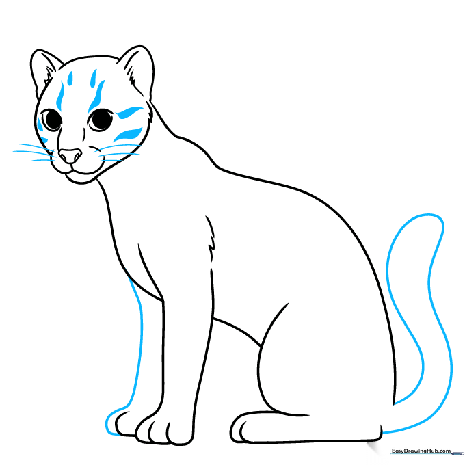 Drawing the long ocelot tail and adding whiskers to the face.