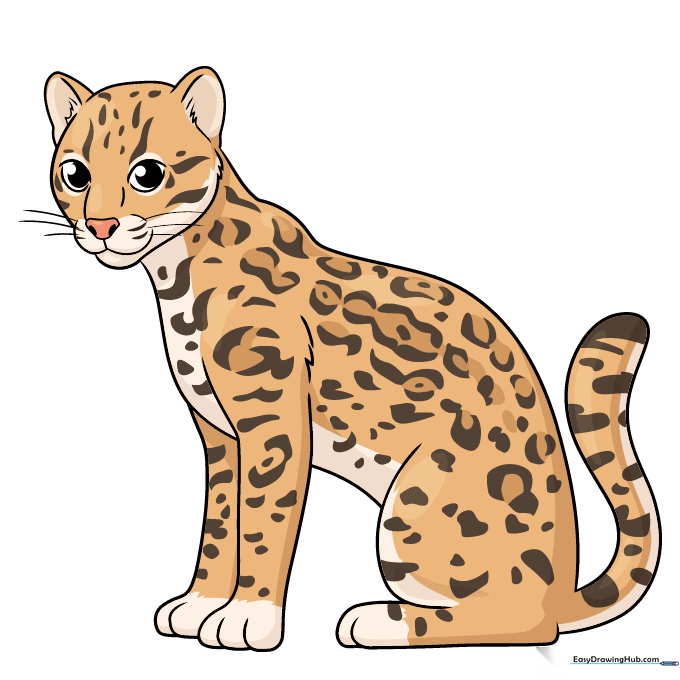 A fully colored, cute cartoon ocelot with tan fur and brown spots.