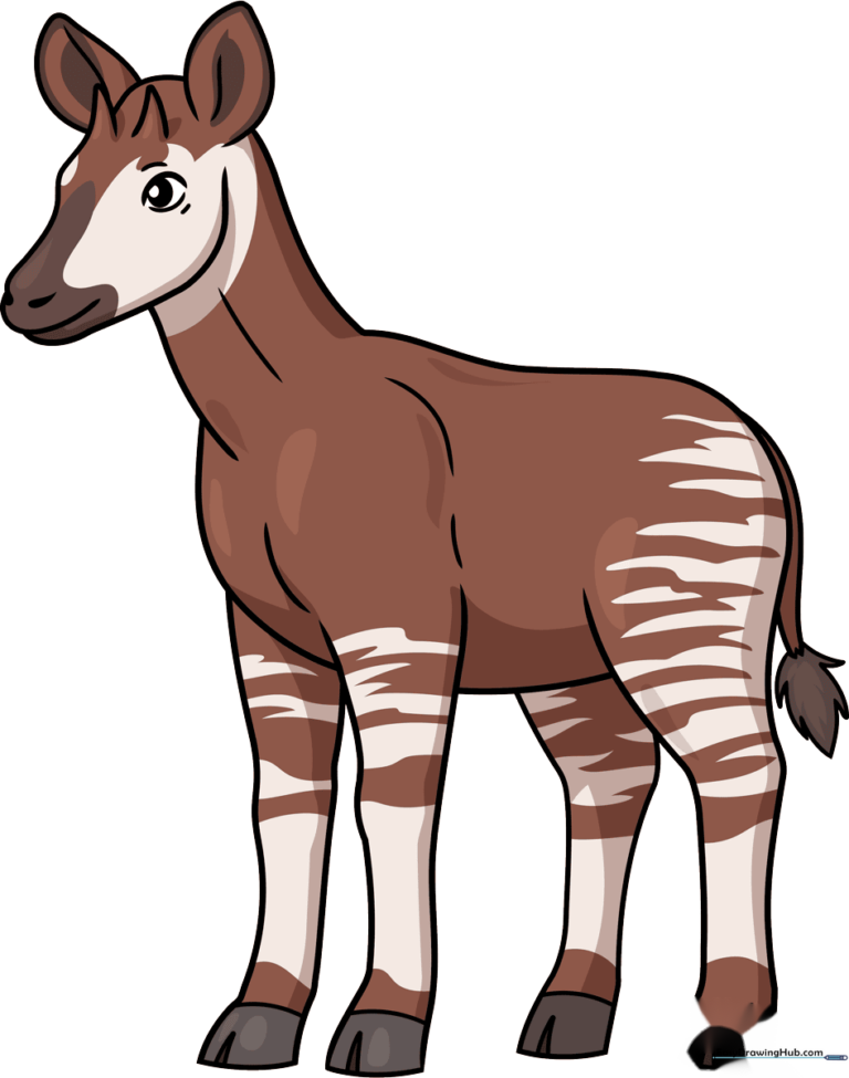 A friendly, cartoon-style okapi standing in a forest, fully colored and outlined.
