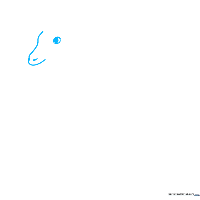 Pencil sketch showing the initial curved face outline, two teardrop nostrils, and a single eye with a dark pupil.