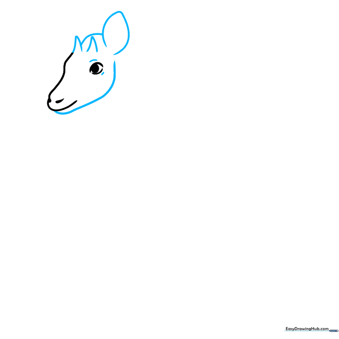 Drawing showing the addition of the lower jawline, two small horn-like ossicones, and one pointed ear.