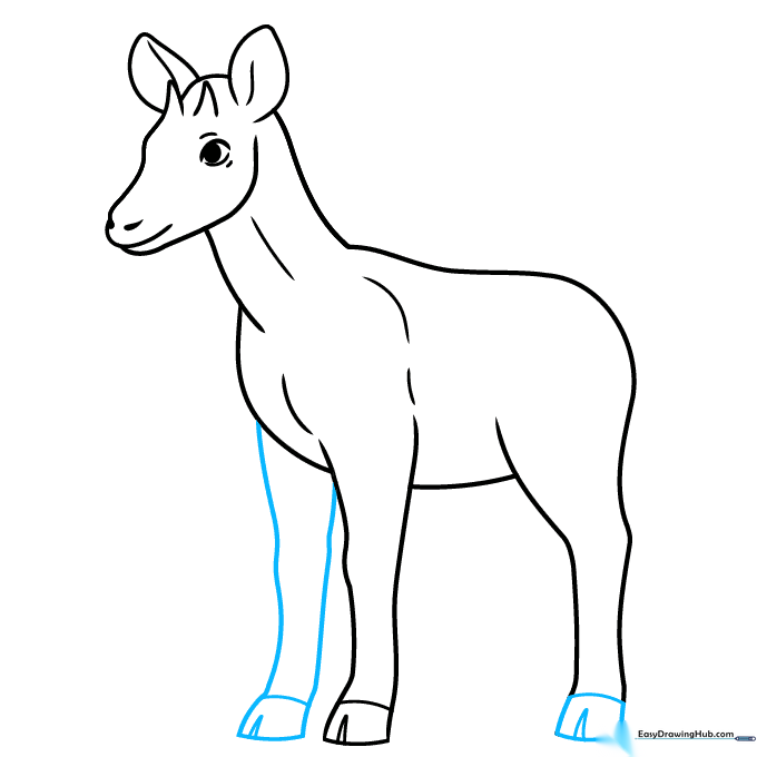 Drawing showing the addition of the rear hoof and the second front leg.