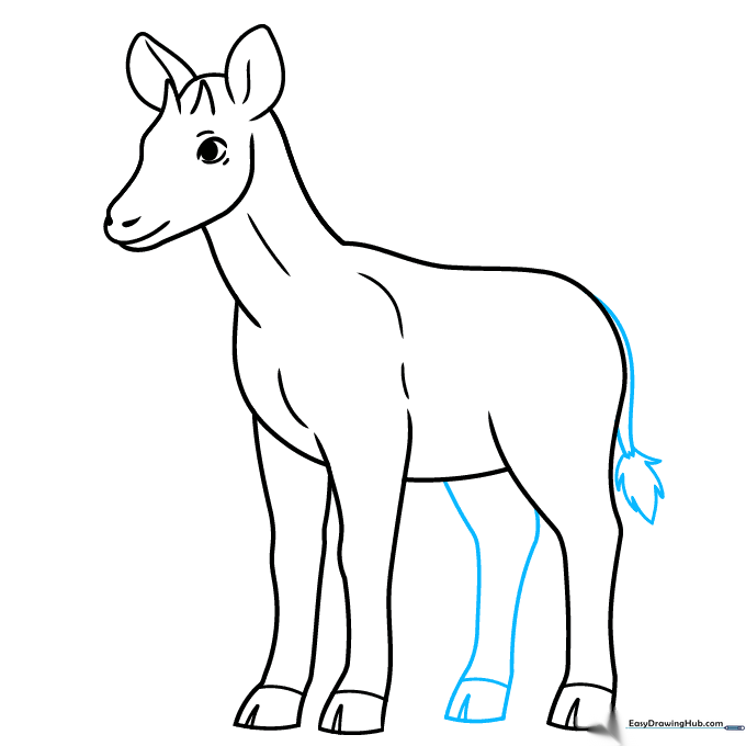 Final leg added to the sketch along with a tail featuring a tufted end.