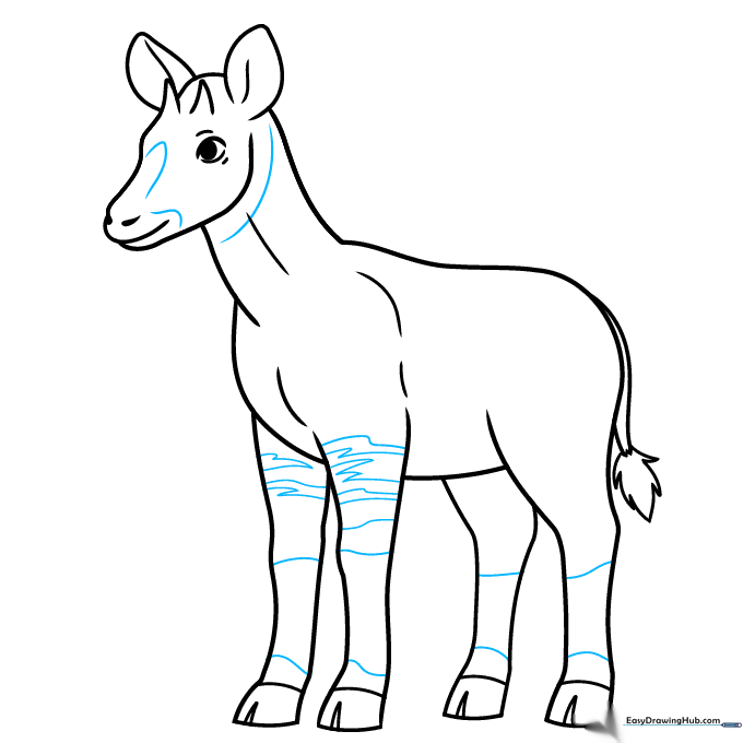Sketch showing added contour lines on the face, neck, and legs for detail.
