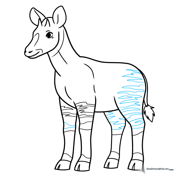 Finalizing the drawing by adding the characteristic zebra-like stripes on the legs and hips.