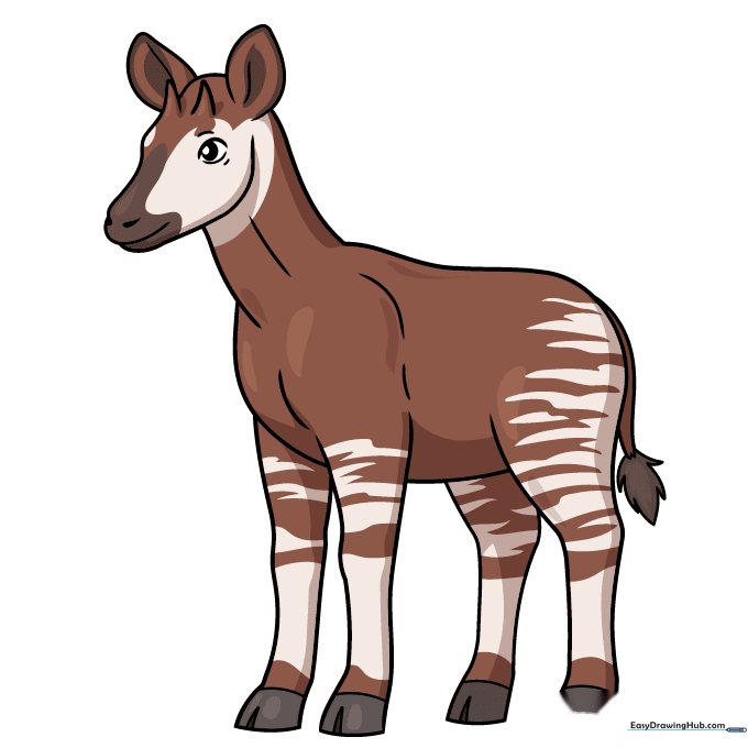 The completed, colored okapi drawing featuring dark brown fur and black-and-white leg stripes.