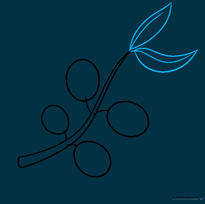 A narrow, pointed leaf attached to the tip of the olive branch stem.