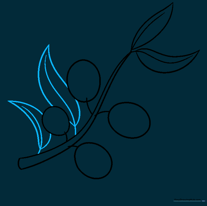 Multiple leaves added to the branch, with some lines erased to create overlapping depth.
