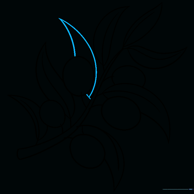 The completed line art of the olive branch, cleaned up and ready for coloring.