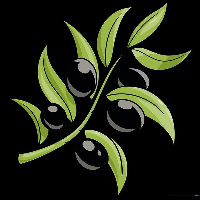The finished, colored olive branch drawing with green leaves and green olives.
