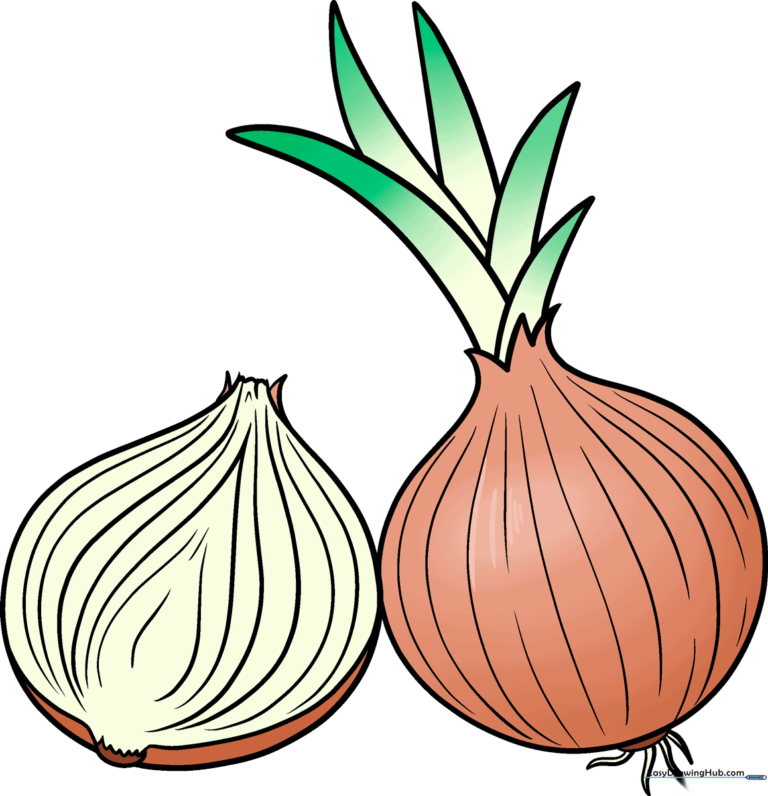 Colorful illustration of a garden onion with green shoots