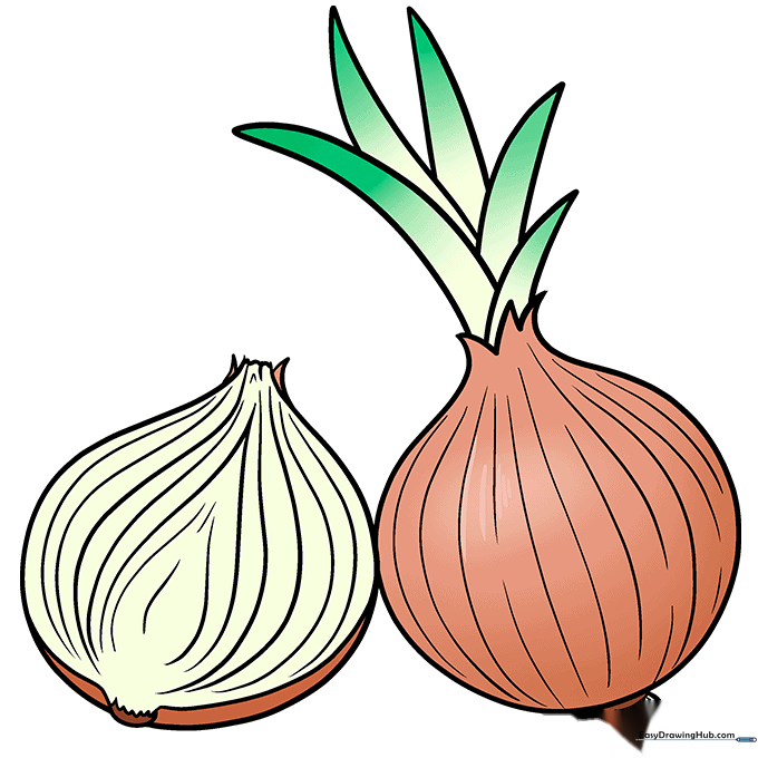 Finished, colored onion drawing with orange skin and green shoots