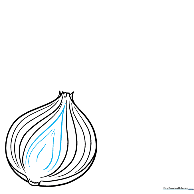 Adding detail to the onion shoot with smaller internal teardrop shapes