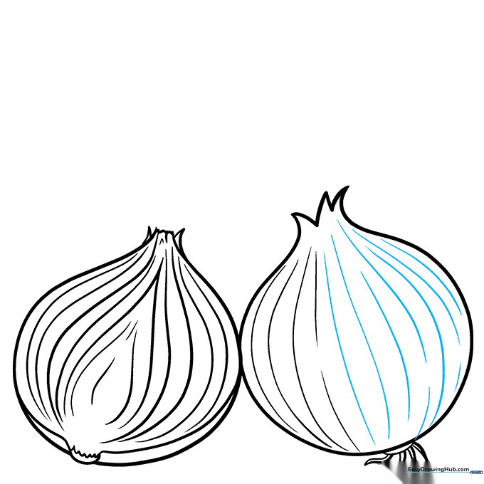 Adding vertical texture lines to the onion skin