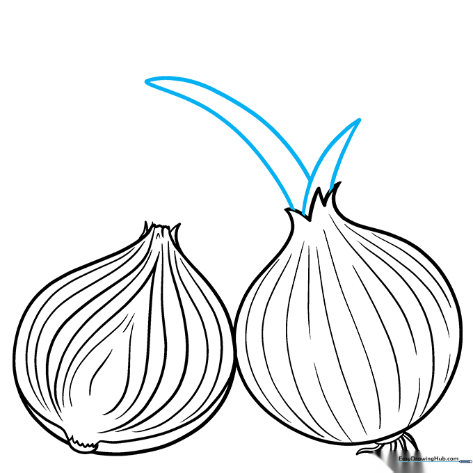 Adding green onion shoots to the top of the bulb