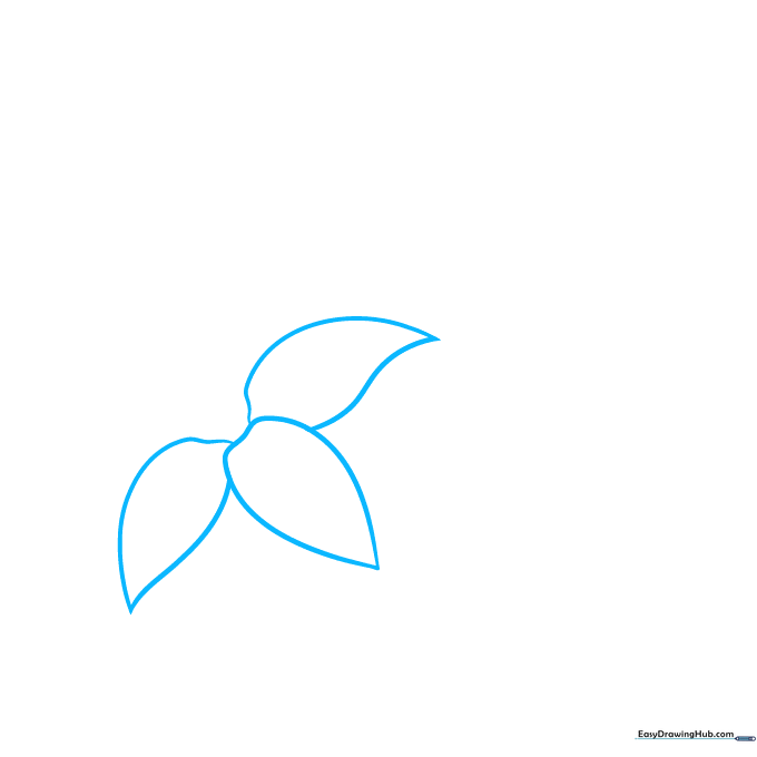Three teardrop-shaped petals sketched lightly on white paper for an orange blossom drawing.