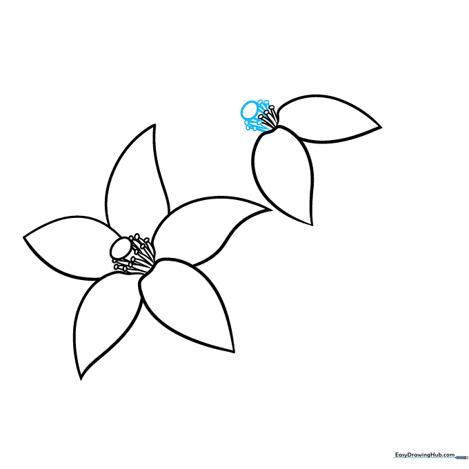 Adding central details and stamens to the second orange blossom flower.