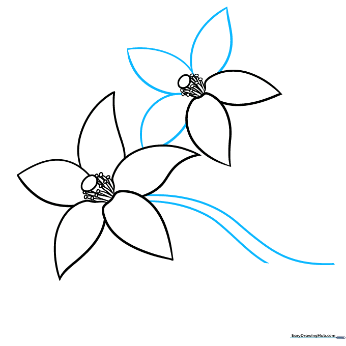 Adding final petals to the second flower and drawing a wavy twig connecting the blossoms.
