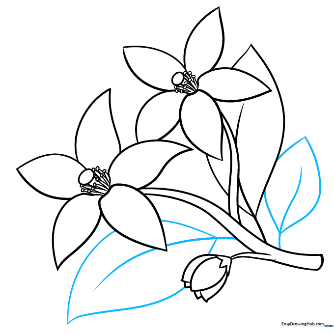 Adding two additional leaves to the branch to complete the botanical sketch.