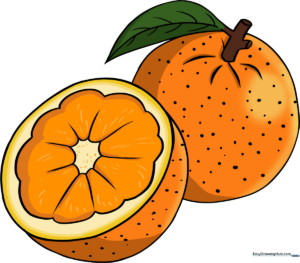 A vibrant, finished illustration of a whole orange and a slice, ready for coloring.
