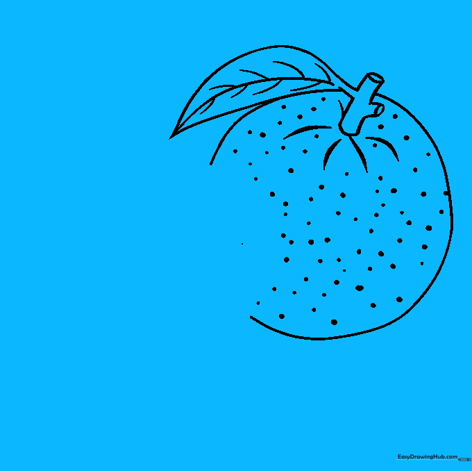 Drawing an overlapping oval to create a cross-section slice of an orange.
