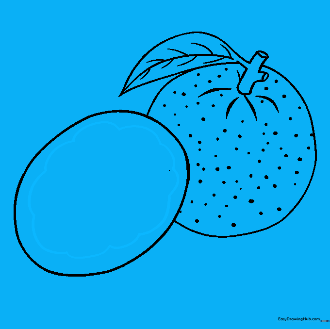 Drawing the internal segments of the orange slice using a scalloped line.