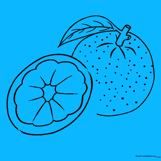 Adding thickness to the orange slice peel with a curved line.