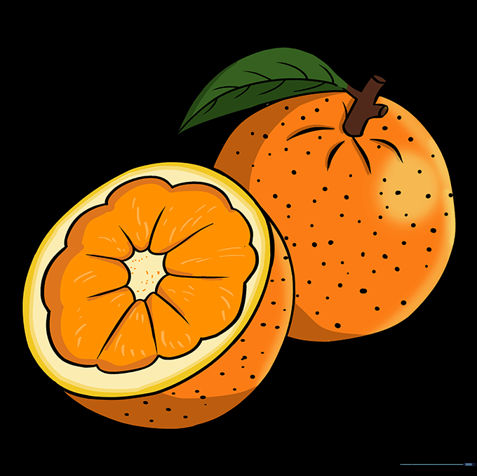 A fully colored drawing of a whole orange and a slice, featuring bright orange and green hues.