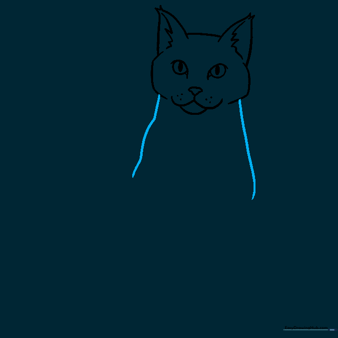 Outline of the cat's head connected to the beginning of the neck and torso.