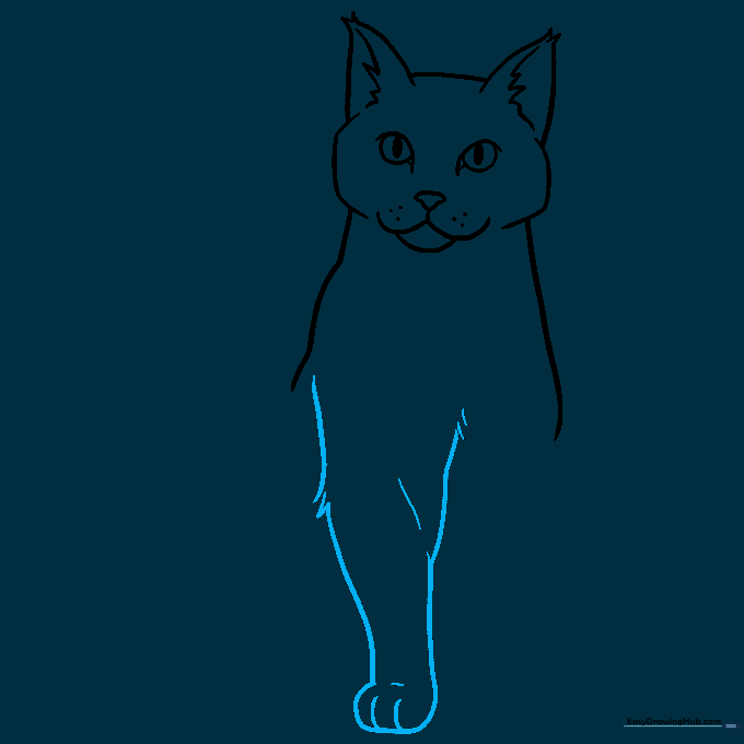 Detailed sketch of the cat's front leg and paw with toe markings.