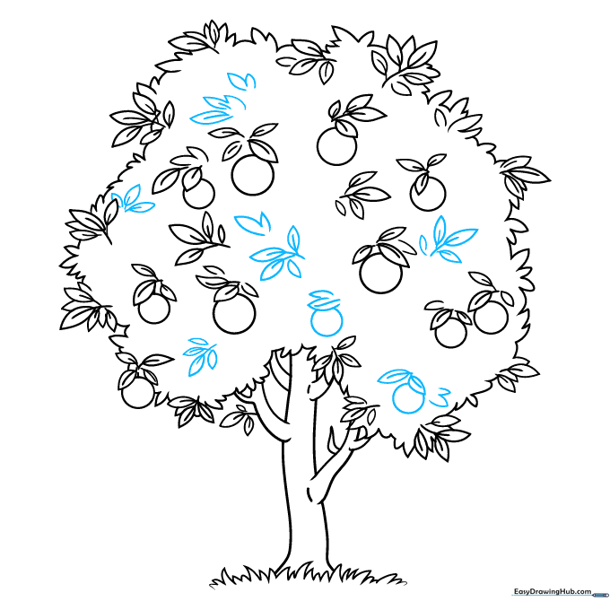 Finalizing the pencil outline of the orange tree with all leaves and fruits in place.