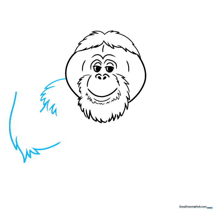Outlining the shaggy shoulders of the orangutan with jagged lines.