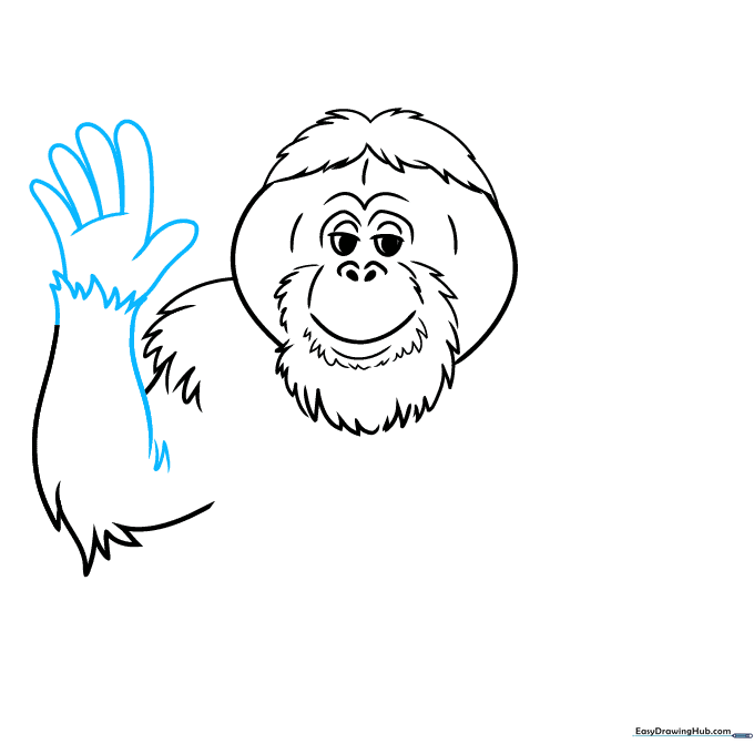 Sketching the orangutan's long arm and hand with fingers.