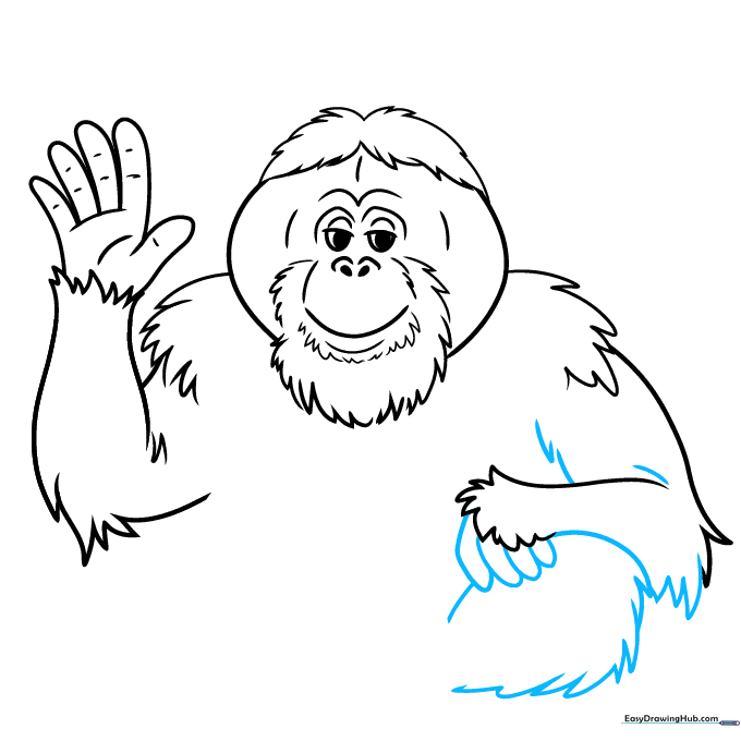 Starting the leg structure of the orangutan drawing.