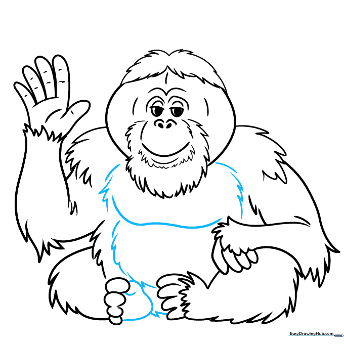 Finalizing the outline of the orangutan with chest and belly details.