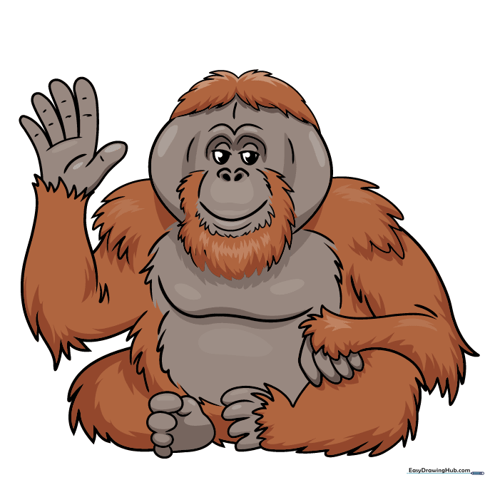 Finished, colored orangutan illustration with reddish-orange fur and brown skin.